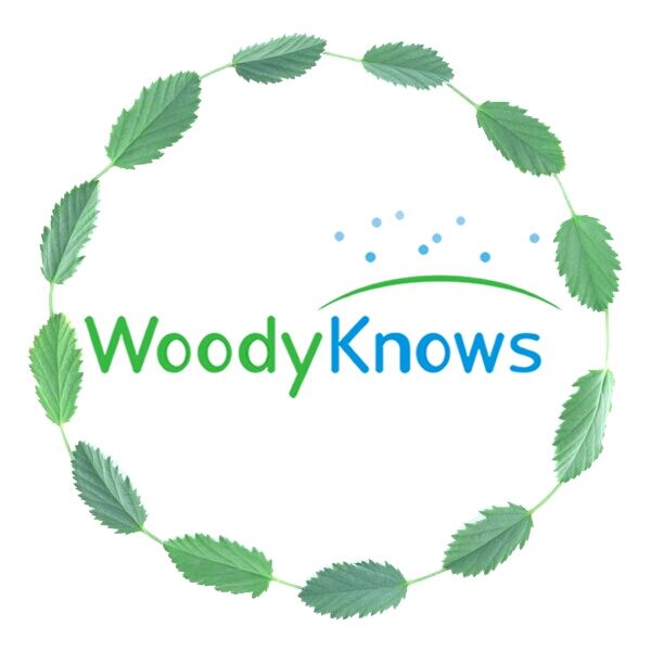 woodyknows伍迪诺斯旗舰店